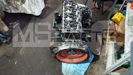 Ремонт мини погрузчиков Mustang